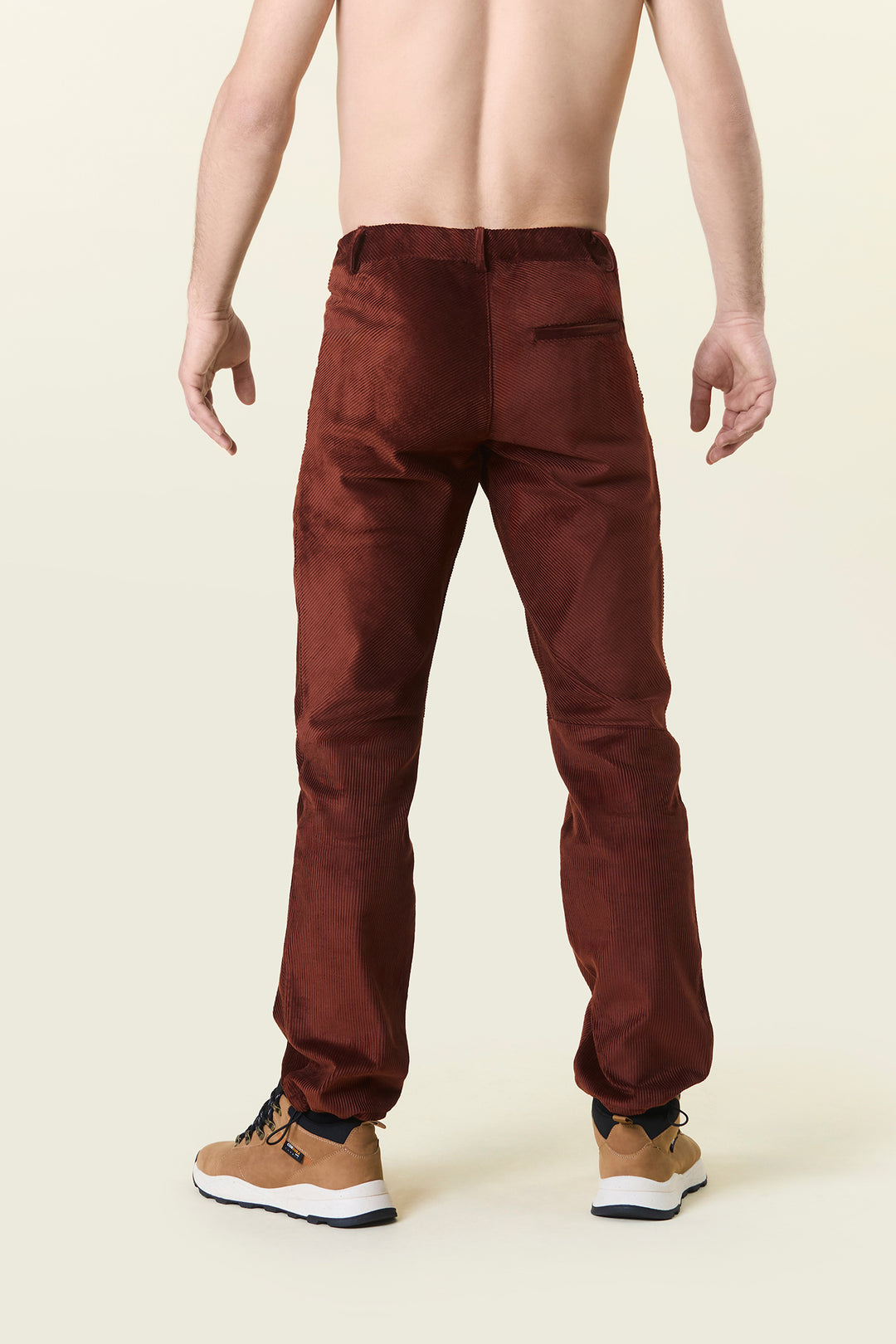 HIMALAYA - Rust pantalone in velluto da uomo